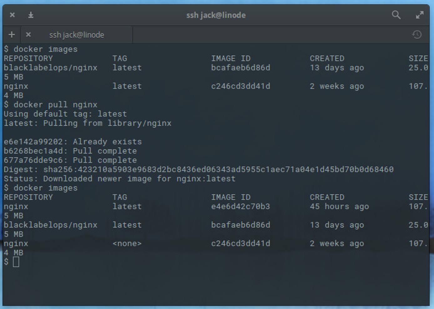 Pull newest nginx image and confirm version number. Docker Pull New nginx Image