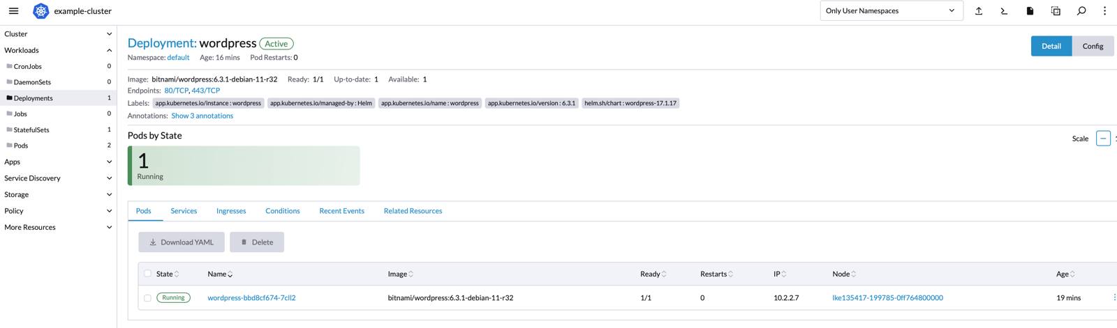 Rancher app detail view - NodeBalancer HTTP endpoint highlighted Rancher app detail view - NodeBalancer HTTP endpoint highlighted