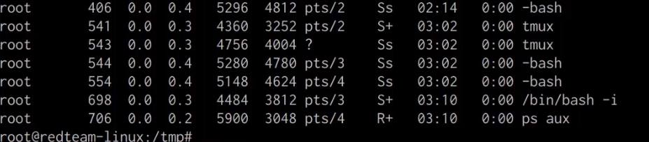 ps aux output with shell.py hidden ps aux output with shell.py hidden