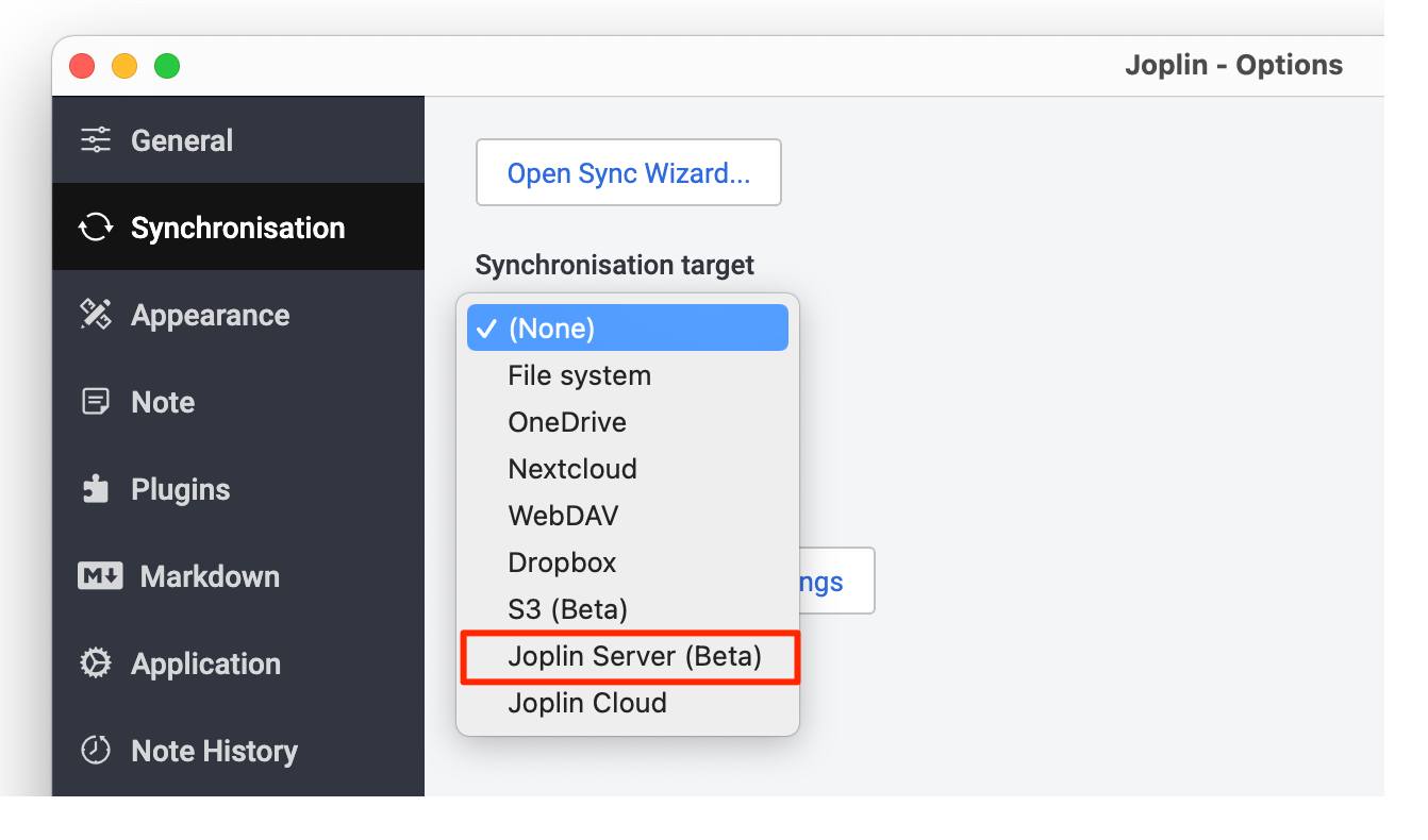 Screenshot of the synchronization options Screenshot of the synchronization options
